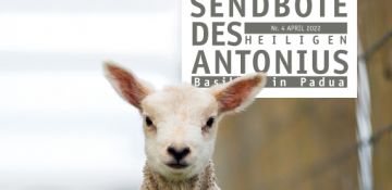 Sendbote des hl. Antonius April 2022