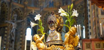 Istantanee dalla Festa di sant'Antonio 2025 / 1
