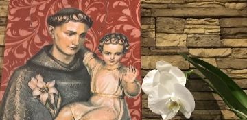 Первая встреча цикла «Со святым Антонием – ко Христу» прошла в Москве