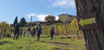 Cammino di S. Antonio, il 13 novembre la reliquia ex ossibus del Santo arriva dopo 153 km in Basilica portata dai pellegrini nell’ambito del «Progetto Antonio 20-22»