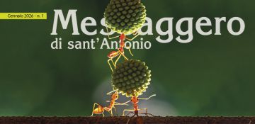 Dossier<br>L'UNIONE FA LA FORZA