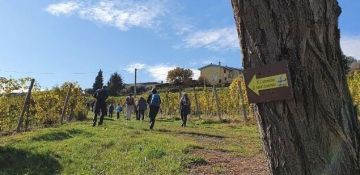 In St. Anthony’s footsteps from Sicily to Padua from June 30 to October 9, 2022