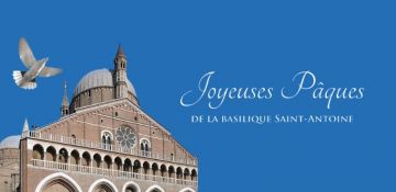 Pâques 2026. La lumière de la résurrection de Jésus éclaire les ténèbres de notre monde