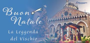 La leggenda del  vischio, simbolo di rinascita spirituale 
