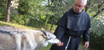 October 4, 2019, St. Francis Feast Day
