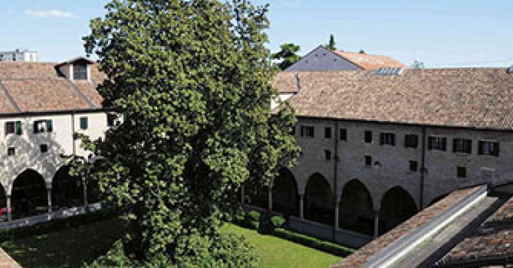 The Magnolia Cloister
