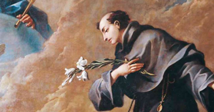 A lily on Saint Anthony’s Tomb